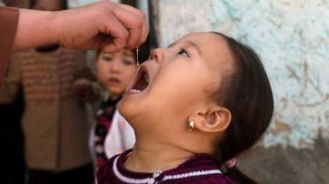Afghans work to stem polio rise amid violence, pandemic