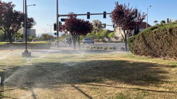 Drought-stricken Nevada enacts ban on 'non-functional' grass