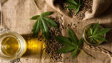 What's the Difference Between Hemp and Weed?