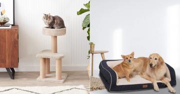 38 Pet Products on Sale For Prime Day That You and Your Furry Friend Can't Miss