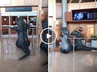 Family takes airport greeting to a new Jurassic level (Video)