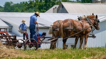 Amish put faith in God's will and herd immunity over vaccine