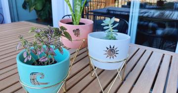 As a Plant Mom, I Had to Have This Cute Trio of Pots From Target - Now I Use Them For Everything!