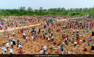 1 Million Saplings Planted In An Hour In Telangana In New World Record