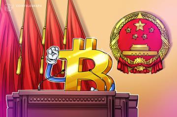 China proves Bitcoin is an unstoppable machine: Bitcoin Center founder