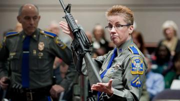 Gun maker offers $33M to settle suit by Sandy Hook families