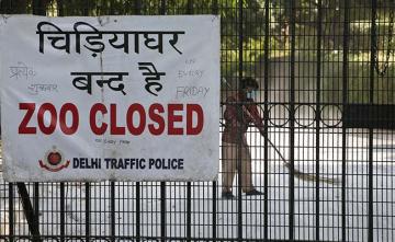 Delhi Zoo Reopens In 2 Shifts With Online Ticket Facility After 105 Days