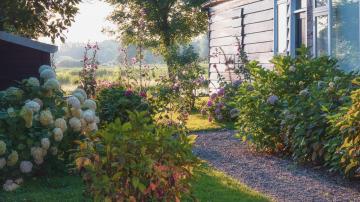 Your Back Yard Needs a Shade Garden