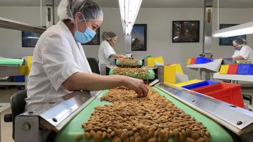California drought takes toll on world's top almond producer