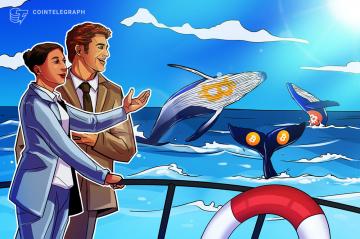 Bitcoin whales join 'small fish' in buying BTC as price holds above $47K