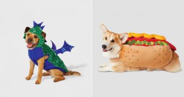 16 Freaking Adorable Halloween Costumes You Need For Your Dog, All Under $20