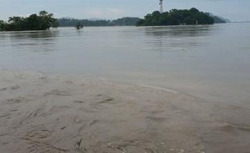 24 Endangered Animals Killed In Kaziranga National Park Amid Assam Floods