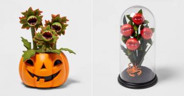 Yes, You Absolutely Need These Creepy Halloween Plants From Target!