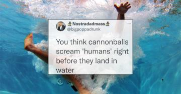 Perfect Tweets that actually deserve our attention (30 Photos)