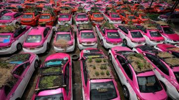 Idled Thai taxis go green with mini-gardens on car roofs