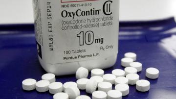 Use of OxyContin profits to fight opioids formally approved