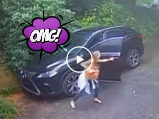 Bearly anyone expected THAT was in her Lexus (Video)