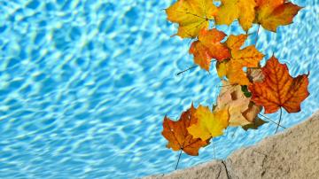 How to Prep Your Pool for Winter