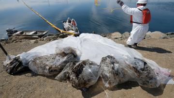Booms, skimmers among tools used to cleanup from oil spills