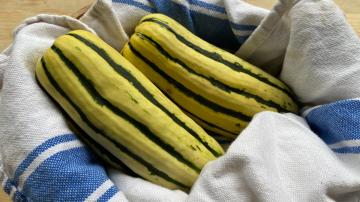 How to Cook Delicata Squash You'll Actually Love