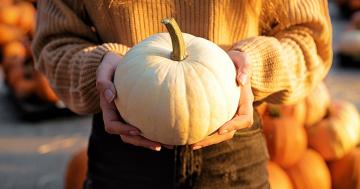Everything You Need to Know About White Pumpkins - Including Whether You Can Eat Them