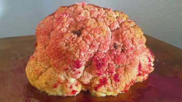 This Bloody Cauliflower Brain Is the Centerpiece Your Halloween Needs