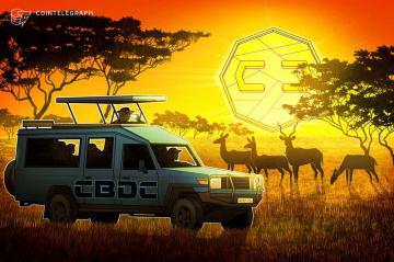 Zimbabwe minister signals CBDC interest amid Bitcoin adoption rumors
