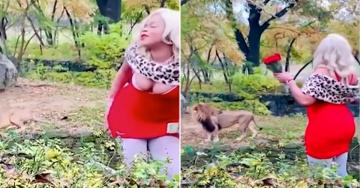 Woman jumps fence at Bronx Zoo, makes it rain on a lion (6 GIFs)