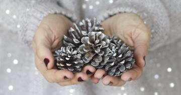 How to Prep Fresh Pinecones For Your DIY Holiday Decor