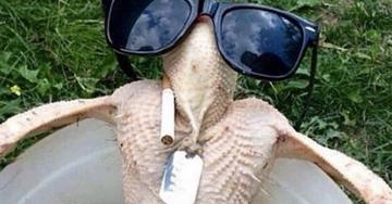 A healthy first serving of some Turkey Day memes (31 Photos)