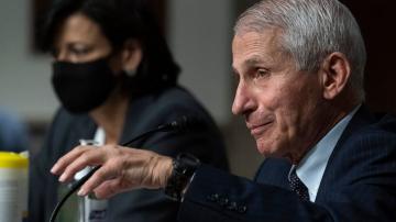 Fauci fires back at Cruz over COVID claims about Chinese lab