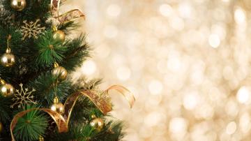 How to Keep Your Christmas Tree Alive Throughout the Holidays