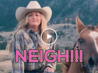 Interrupting horse wh… NEIGH!!!! (Video)