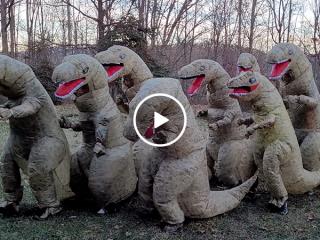 Little arms aren’t going to stop this T-Rex family from busting a move (Video)