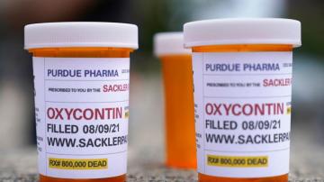 Suits against OxyContin owners on hold; negotiations ordered
