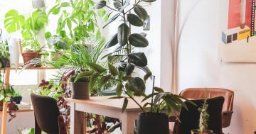 The Home Decor Aesthetic to Try in 2022, Based on Your Zodiac Sign