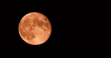 All Zodiac Signs Should Prepare to Manifest and Prosper During June's Strawberry Moon