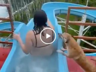 Screw the dog park he wants the water park (Video)