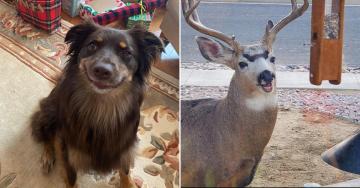 Derps that are as diverse as the animal kingdom itself (30 Photos)