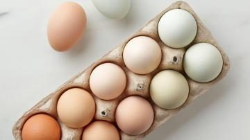 Why Do Eggs Come in Different Colors (and How Much Does It Matter)?