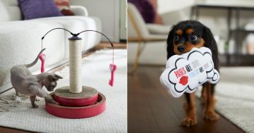 13 Valentine's Day Gifts Your Pets Will Adore