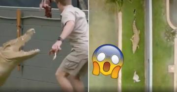 Like father, like son; Steve Irwin’s son almost ATTACKED by 12ft croc (7 Photos)