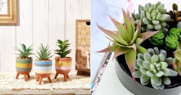 Faux Succulents on Amazon That Add Greenery Without The Maintenance
