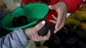 Mexico says conspiracy behind avocado ban; US cites violence