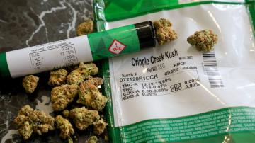 Key details await as NY eyes $200M pot business equity fund