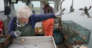 Photo of lobsterwoman yeeting lobster off boat gets the meme treatment (26 photos)