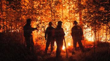 UN: Wildfires getting worse globally, governments unprepared