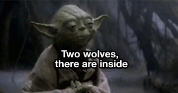 Inside you, there are two wolves… (28 Photos)