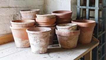 How to Clean That White Residue From Your Terracotta Pots