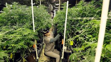 New Jersey to start recreational marijuana sales April 21